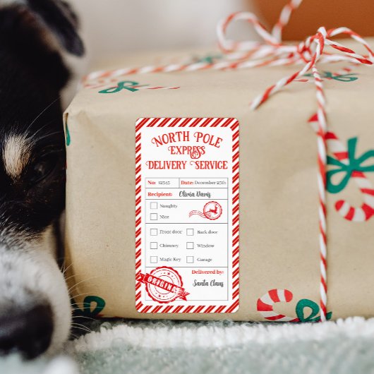 Weihnachtspost von Santa North Pole Lieferung