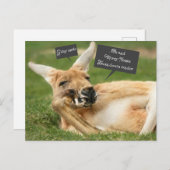 Weihnachtspostkarte aus Australien; Känguru Feiertagspostkarte (Vorne/Hinten)