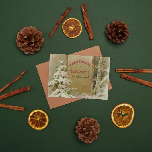 Weihnachtspostkarte aus Ungarn 1901 Feiertagspostkarte