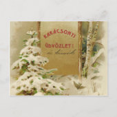 Weihnachtspostkarte aus Ungarn 1901 Feiertagspostkarte (Vorderseite)