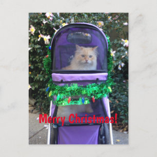 Weihnachtspostkarte Postkarte