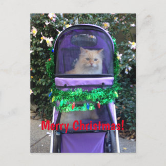 Weihnachtspostkarte Postkarte