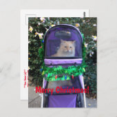 Weihnachtspostkarte Postkarte (Vorne/Hinten)