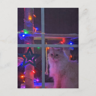 Weihnachtspostkarte Postkarte