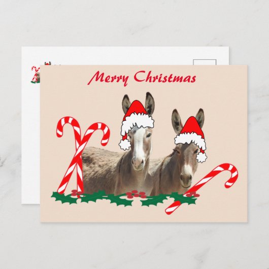 Weihnachtspostkarte, Wildtiere, Esel Postkarte (Vorne/Hinten)