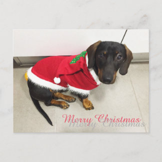 Weihnachtspostkarten Feiertagspostkarte