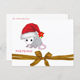 Weihnachtspostkarten Nordpol Opossum Postkarte
