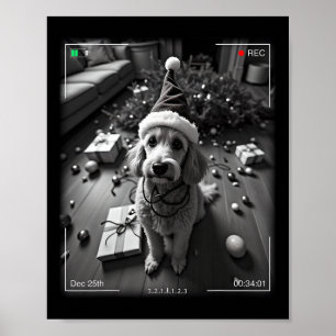 Weihnachtspudel auf Kamera erwischt Poster