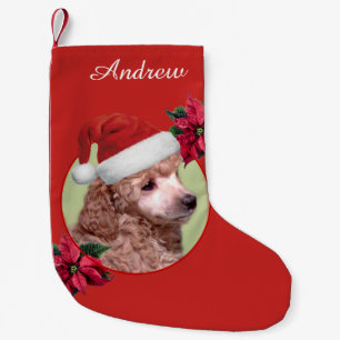 Weihnachtspudelhundepersonalisierter Strumpf Kleiner Weihnachtsstrumpf