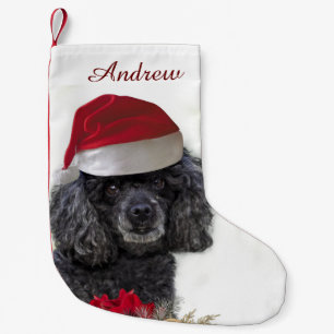 Weihnachtspudelhundpersonalisierter Strumpf Kleiner Weihnachtsstrumpf