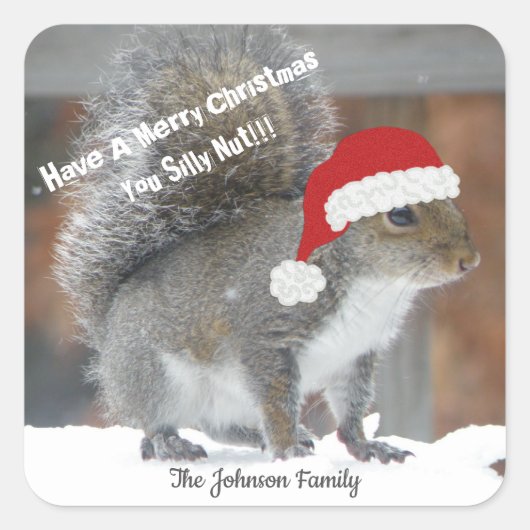 Weihnachtsquirrel Funny Stickers (Vorderseite)