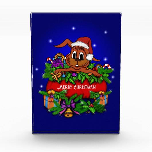 WeihnachtsRabbit Fotoblock (Vorderseite)