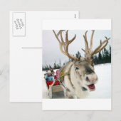 Weihnachtsren Feiertagspostkarte (Vorne/Hinten)