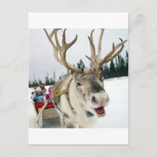 Weihnachtsren Feiertagspostkarte