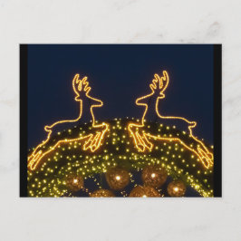 Weihnachtsrinder Postkarte