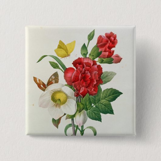 WeihnachtsRose, Helleborus Niger Button (Vorderseite)