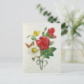 WeihnachtsRose, Helleborus Niger Feiertagspostkarte (Stehend Vorderseite)