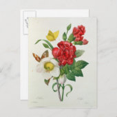 WeihnachtsRose, Helleborus Niger Feiertagspostkarte (Vorne/Hinten)