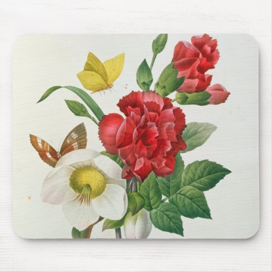 WeihnachtsRose, Helleborus Niger Mousepad (Vorne)