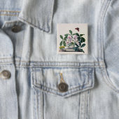 WeihnachtsRose (Helleborus Niger) und Winter Aconi Button (Beispiel)