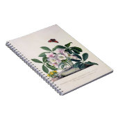 WeihnachtsRose (Helleborus Niger) und Winter Aconi Notizblock (Rechte Seite)