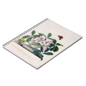 WeihnachtsRose (Helleborus Niger) und Winter Aconi Notizblock (Linke Seite)