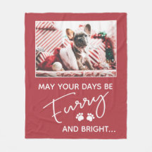 Weihnachtsrot mit Foto und weißen Pfoten