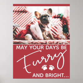 Weihnachtsrot mit Foto und weißen Pfoten Poster