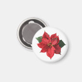 Weihnachtsrote Poinsettie  Magnet (Vorderseite/Rückseite)