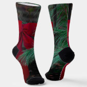 Weihnachtsroter Bogen Socken (Gewinkelt)