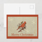 Weihnachtsroter Vogel-Kardinals-Schnee Feiertagspostkarte (Vorne/Hinten)