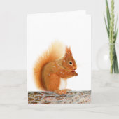 Weihnachtsrotorke Karte (Vorderseite)