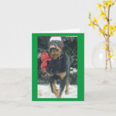 Weihnachtsrottweiler mit Schal/Weihnachtsmannmütze Karte (Gelbe Blume)