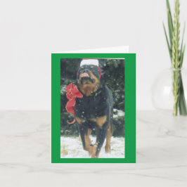 Weihnachtsrottweiler mit Schal/Weihnachtsmannmütze Karte