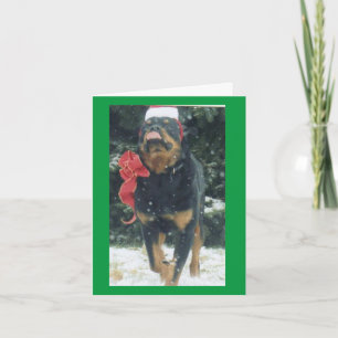 Weihnachtsrottweiler mit Schal/Weihnachtsmannmütze Karte