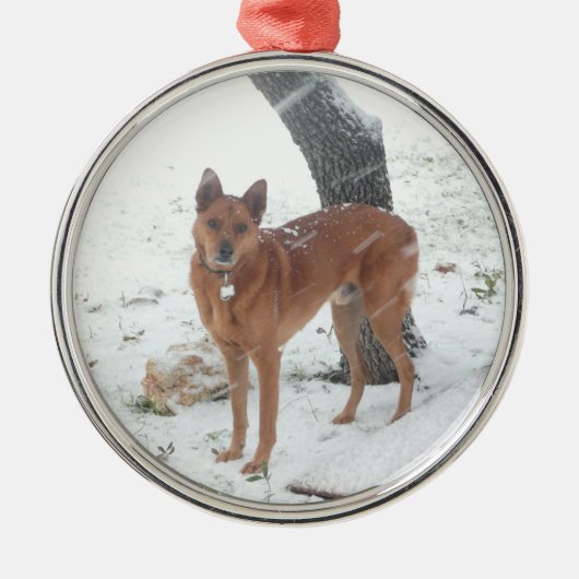 Weihnachtssammlung addieren Haustier-oder Silbernes Ornament (Vorne)