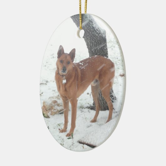 Weihnachtssammlungs-Haustier oder Familien-Foto Keramikornament (Links)