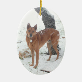 Weihnachtssammlungs-Haustier oder Familien-Foto Keramikornament