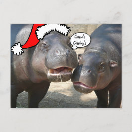 Weihnachtssankt-Flusspferdpostkarte Feiertagspostkarte