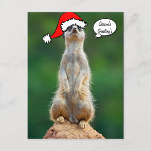 Weihnachtssankt-Präriehundgopher-Postkarte Feiertagspostkarte