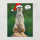 Weihnachtssankt-Präriehundgopher-Postkarte Feiertagspostkarte (Vorderseite)