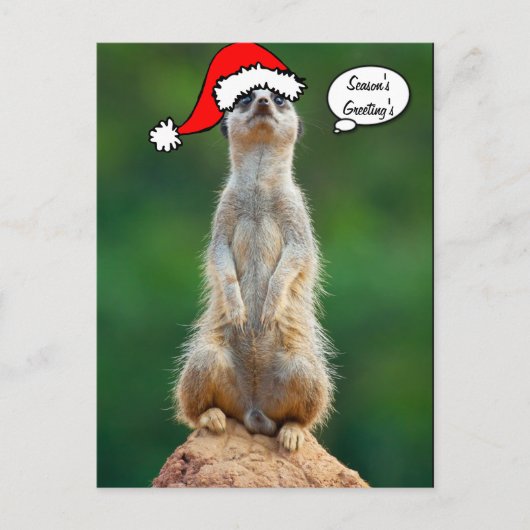 Weihnachtssankt-Präriehundgopher-Postkarte Feiertagspostkarte (Vorderseite)