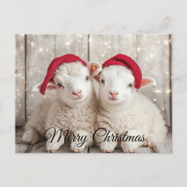 Weihnachtsschaf Feiertagspostkarte