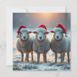 Weihnachtsschafe Feiertagskarte