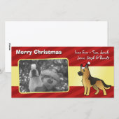 Weihnachtsschäfer Feiertagskarte (Vorne/Hinten)