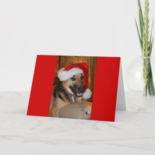 Weihnachtsschäfer Feiertagskarte (Vorderseite)