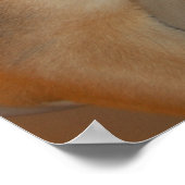 Weihnachtsschäfer Poster (Ecke)