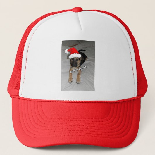 Weihnachtsschäfer Truckerkappe (Vorderseite)