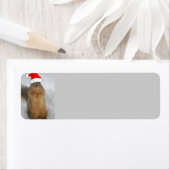 Weihnachtsscheißchen (Insitu)