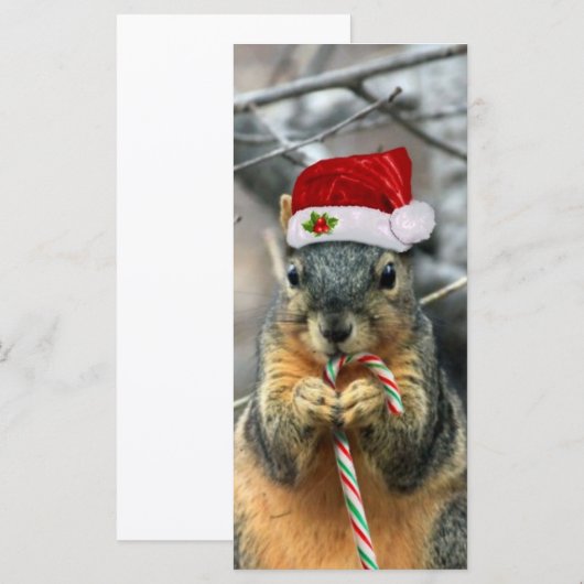 Weihnachtsscheißchen (Vorne/Hinten)